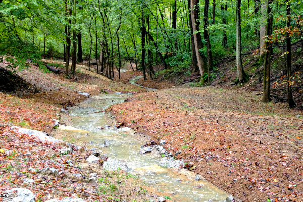 Ault Park Valley Stream Trail