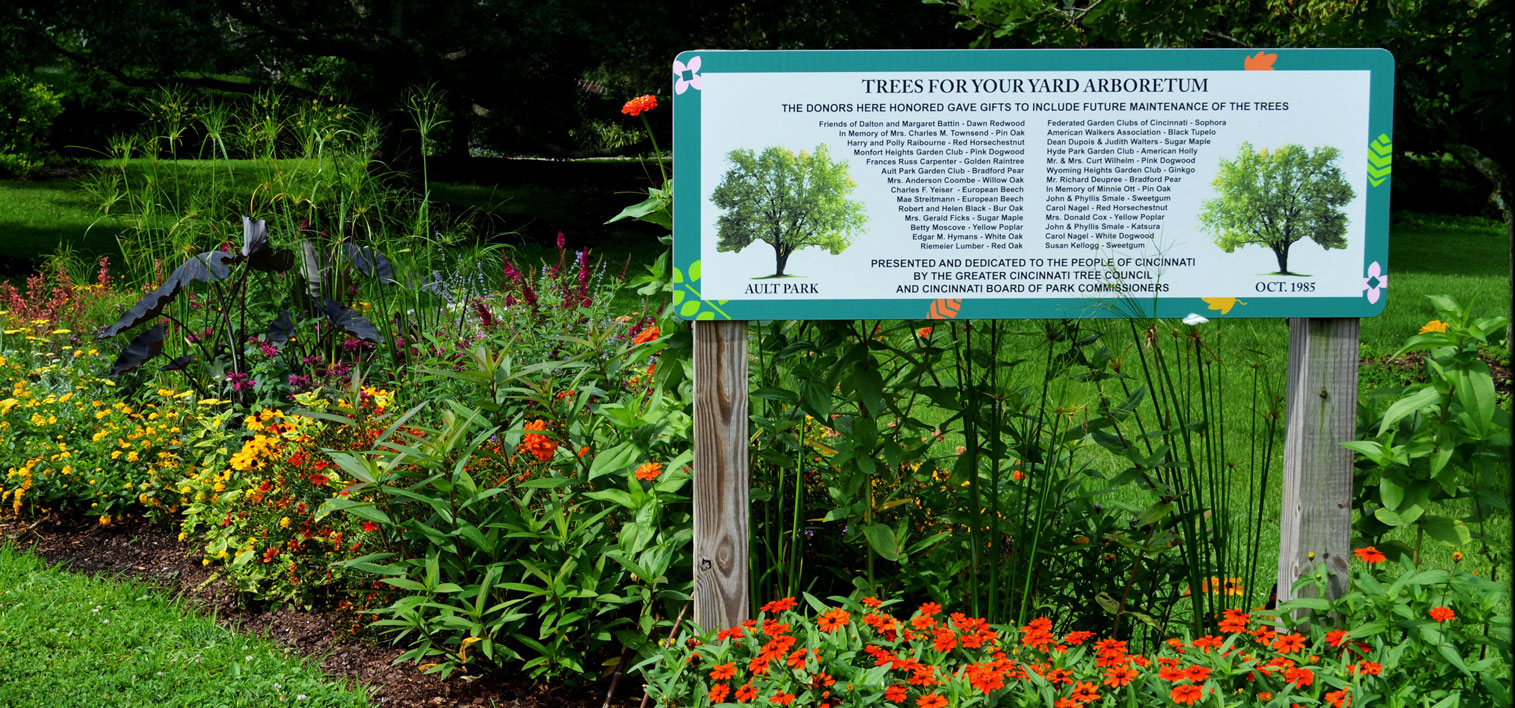 Ault Park Tree Arboretum 